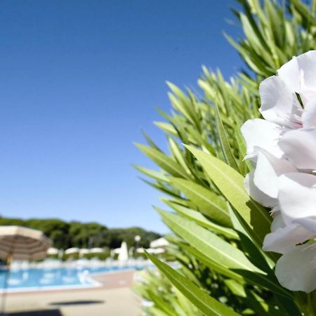 Isa-Apartments 4 Beds In Residence With Swimming-Pool In San Vincenzo, Just 600 Meters From The Sea Bagian luar foto